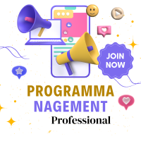 program management professional